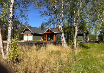 Exterior view of a dark green house surrounded by birch trees and tall grass on a sunny day.